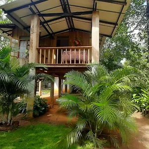 https://ruk-sewana-villa-tree-house.kandyhotelsnow.com